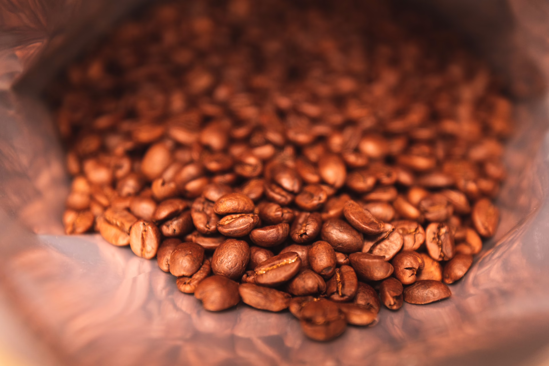Colombia Finca Samaria Yellow Honey Process Specialty Light Roast 4 Colombia Finca Samaria Yellow Honey Process Specialty Light Roast - Image 4