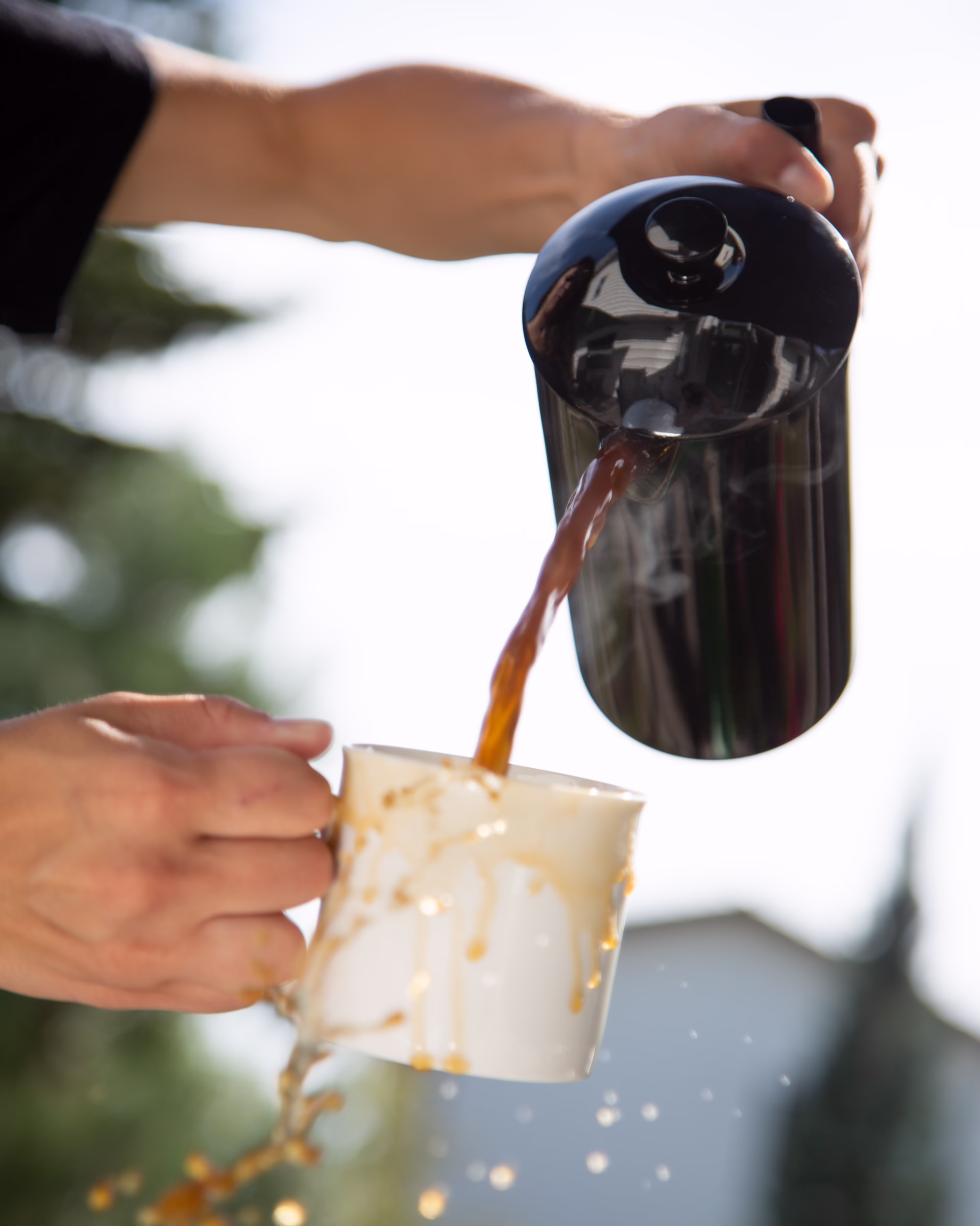 Colombia Finca Samaria Yellow Honey Process Specialty Light Roast 6 Colombia Finca Samaria Yellow Honey Process Specialty Light Roast - Image 6