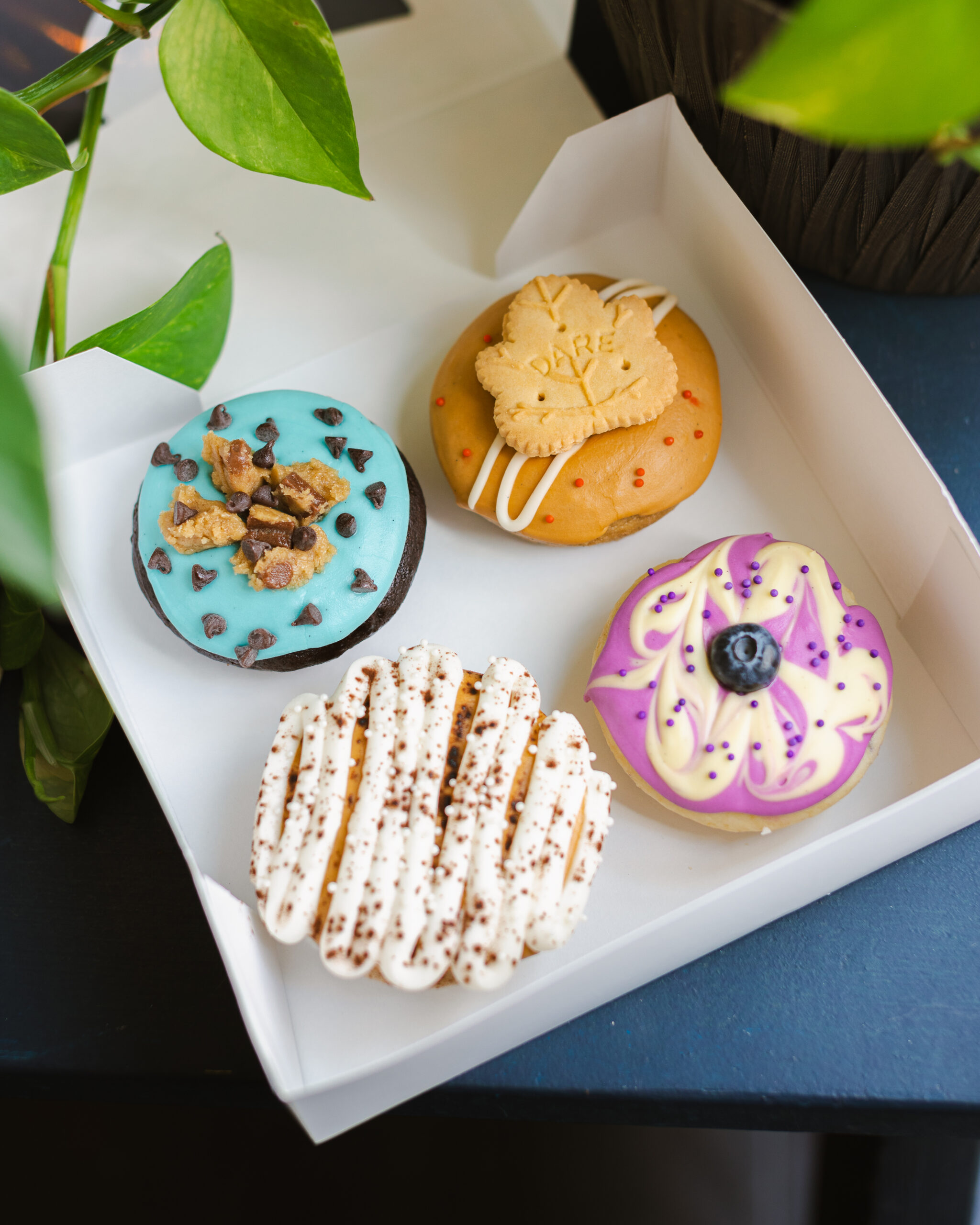 Box of Four Doughnuts